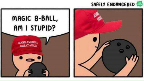 f2b21954-b228-4195-b304-b7de3a2ac709.jpeg